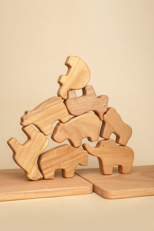 Understanding the Montessori Way