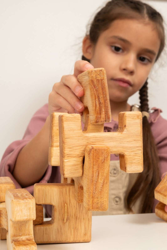 The Future of Wooden Toys: Innovations, Trends, and Sustainability Efforts