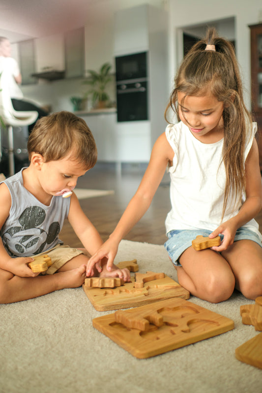 Unleashing Creativity and Learning with Wooden Educational Toys