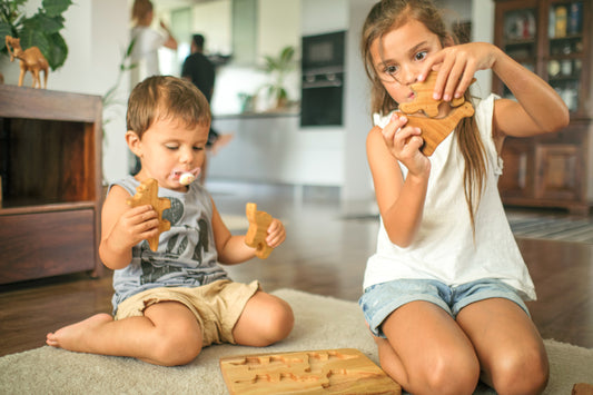 Wooden Toy Safety Tips & Maintenance
