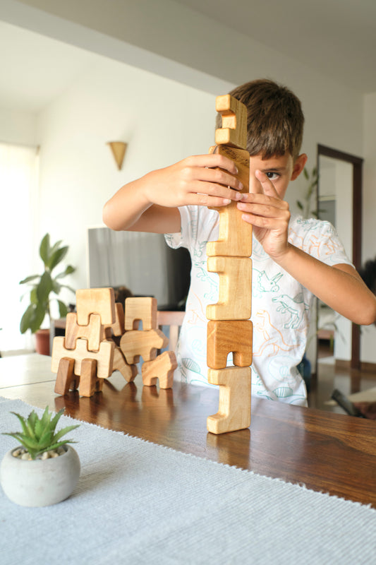 Beyond Plastic: The Durability and Longevity of Wooden Toys