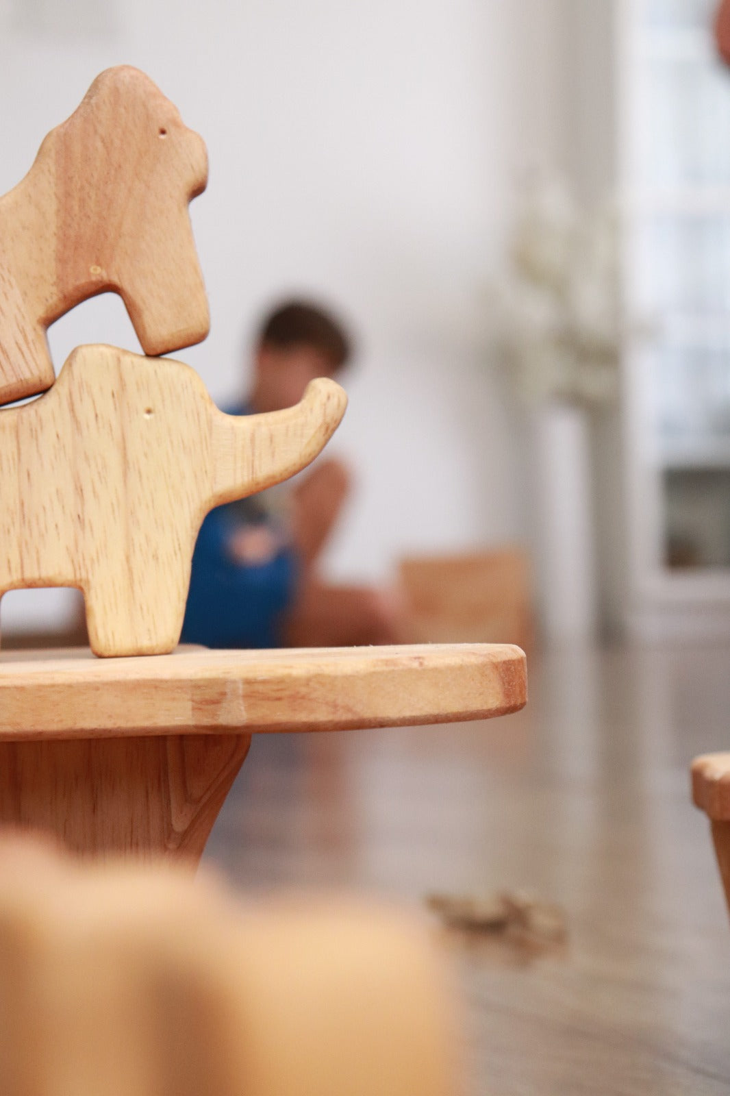 Modern wooden toys online