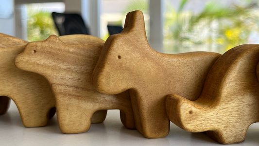 Montessori Learning With Wooden Toys