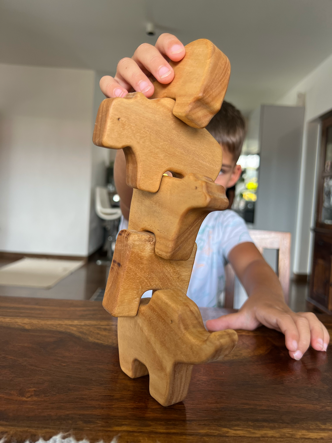 Encouraging Unplugged Playtime with Wooden Toys