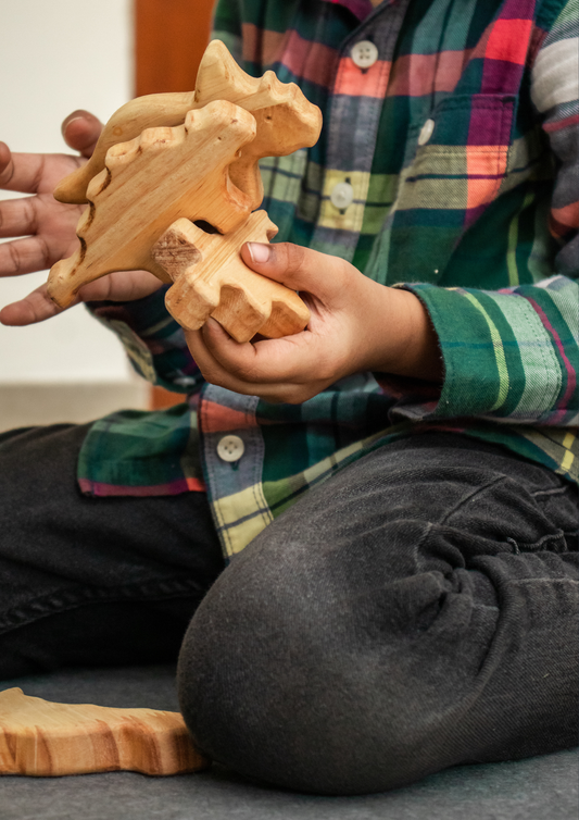 Psychology of Play: Impact of Wooden Toys
