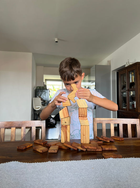 Wooden vs. Electronic Toys: Fostering Healthy Play in a Digital World