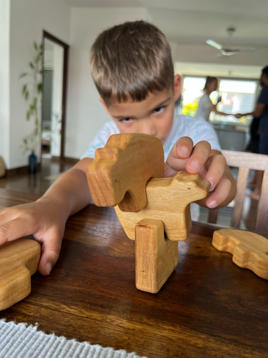 Why Parents Worldwide Are Choosing Our Wooden Toys