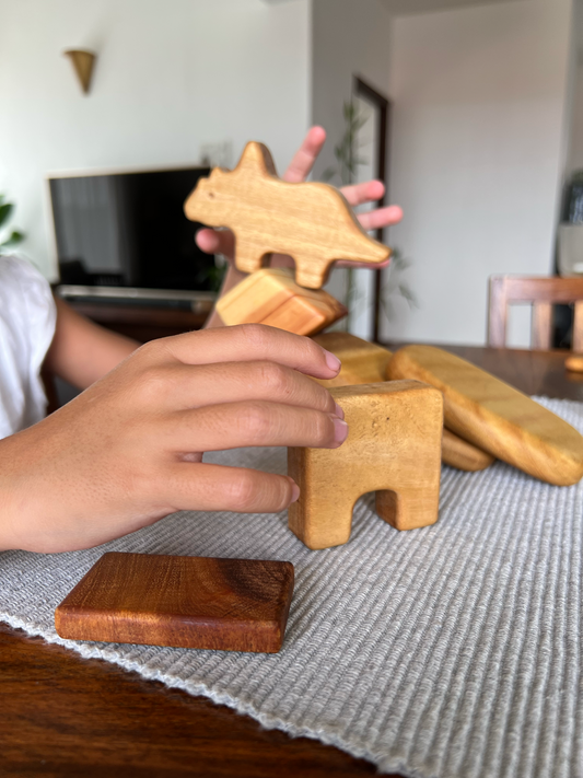 The Science Behind the Best Wooden Toys for Kids