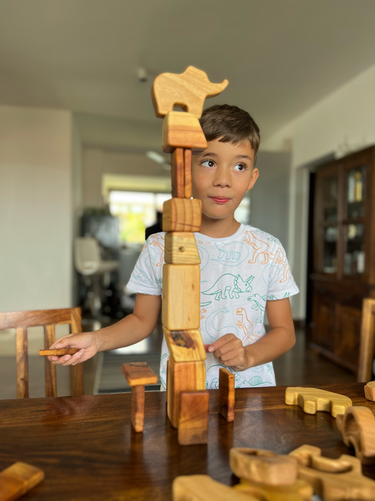 Why Our Wooden Toy Sets Are Perfect for Gifting