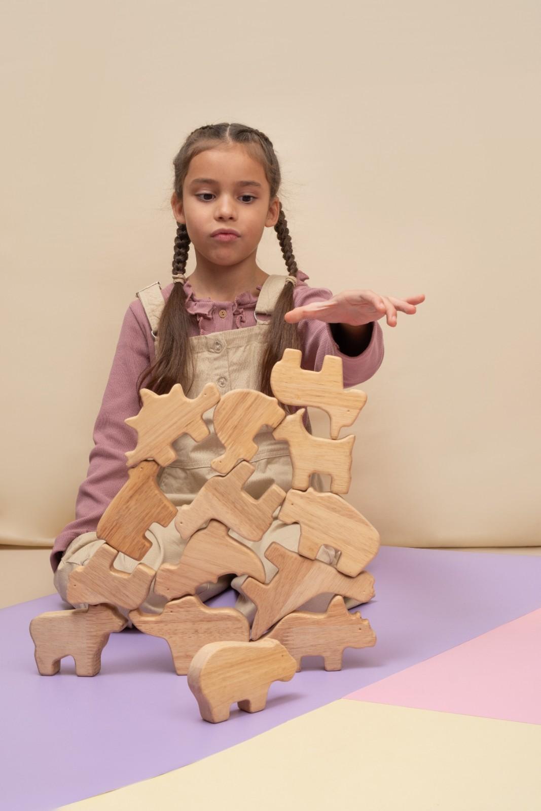 Crafting Narratives through Play: The Art of Storytelling with Wooden Toys
