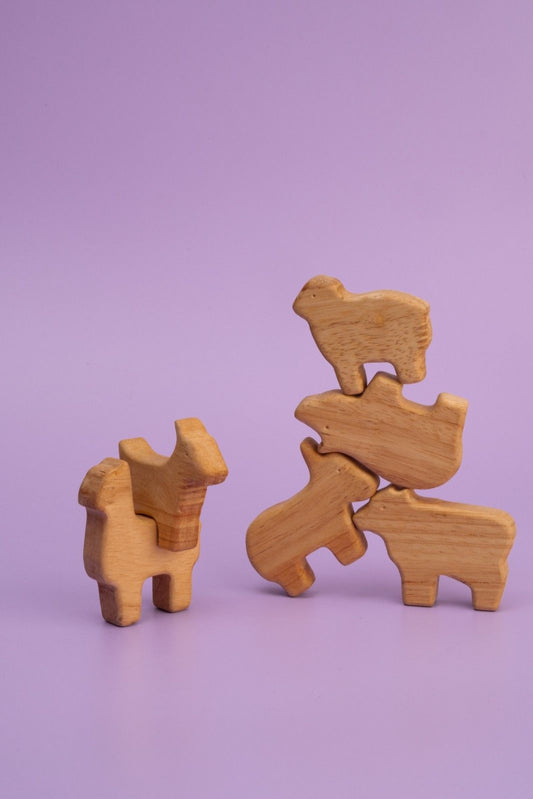 Gender-Neutral Play: How Wooden Toys Promote Inclusivity