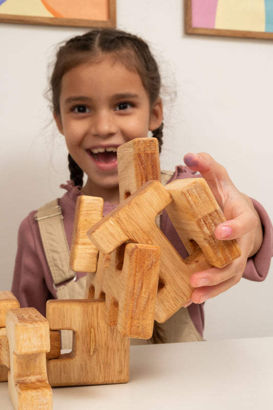 Wooden Toy Libraries: Promoting Access to Play for All