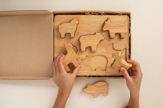 Wooden Toys in Educational Settings: Enhancing Learning Through Sustainable Play