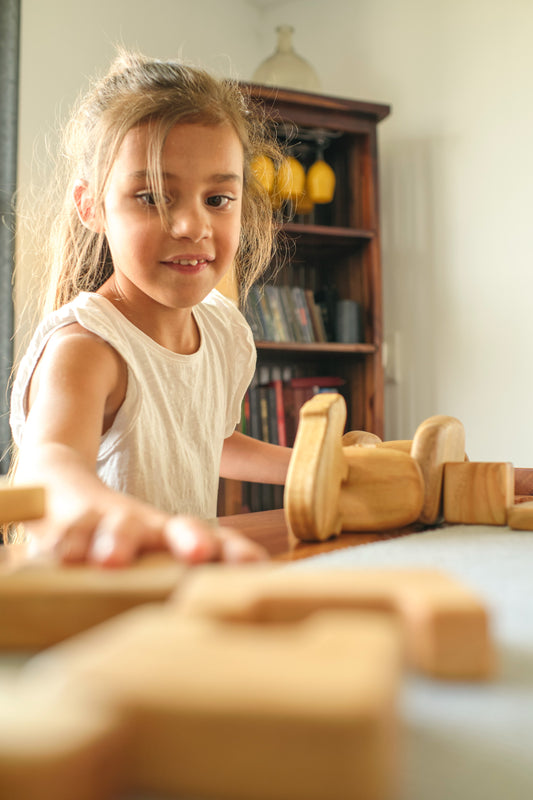 Wood Types in Toy Making