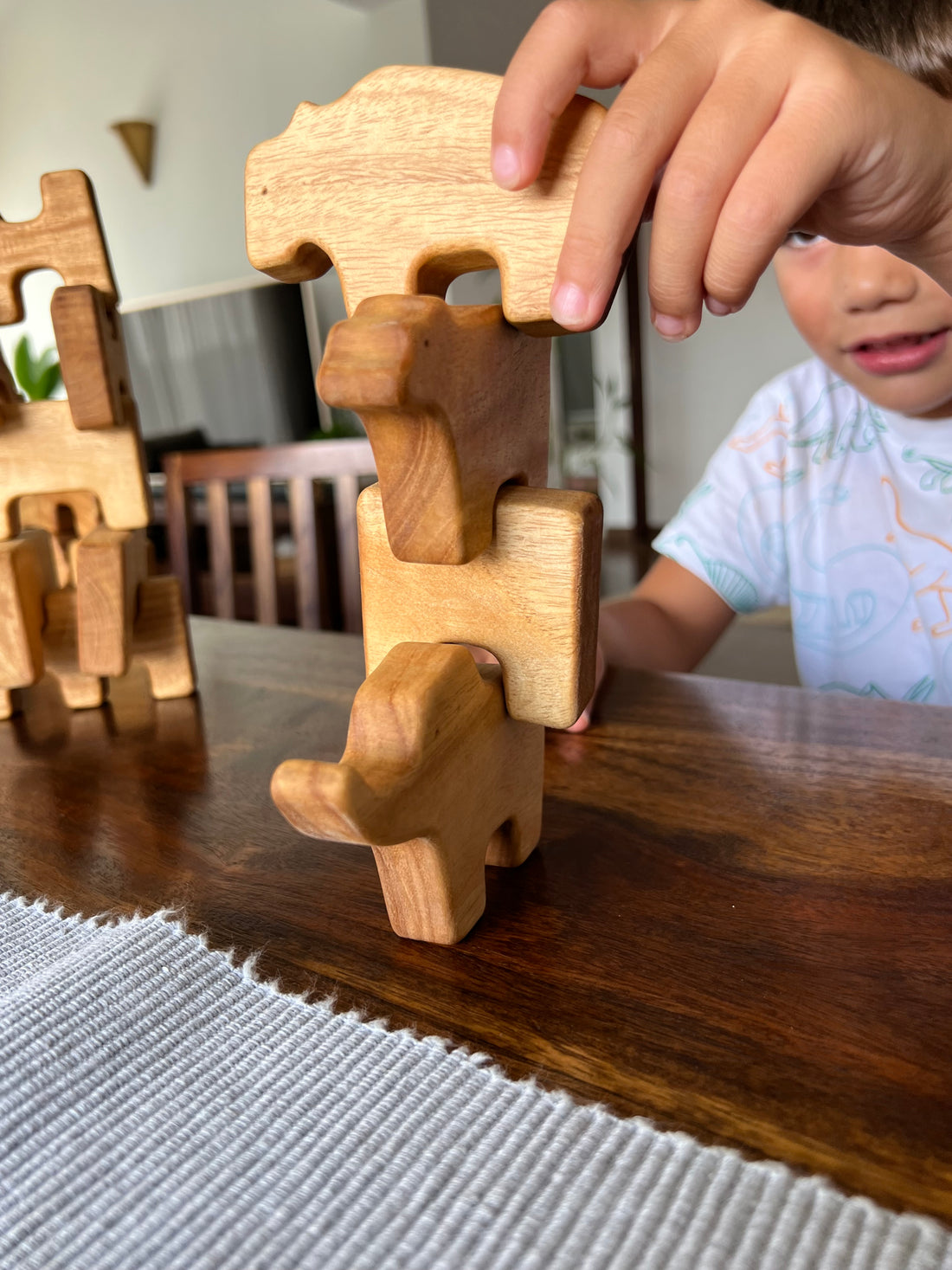 A Practical Guide to Using Wooden Blocks for Math Learning