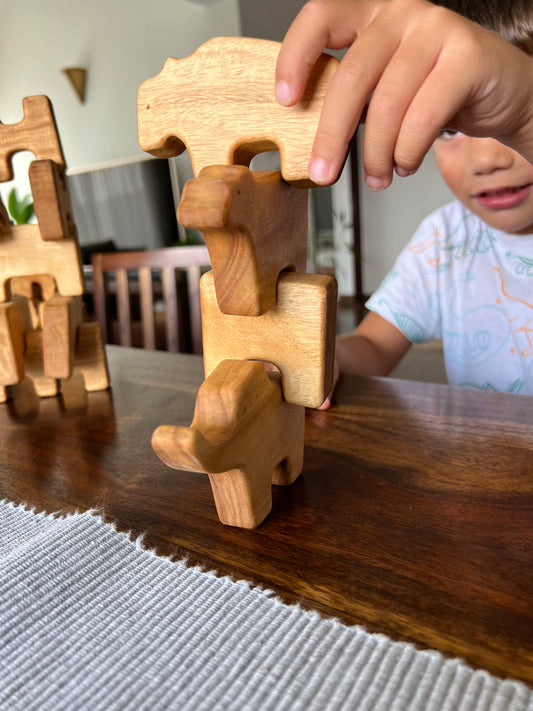 A Practical Guide to Using Wooden Blocks for Math Learning