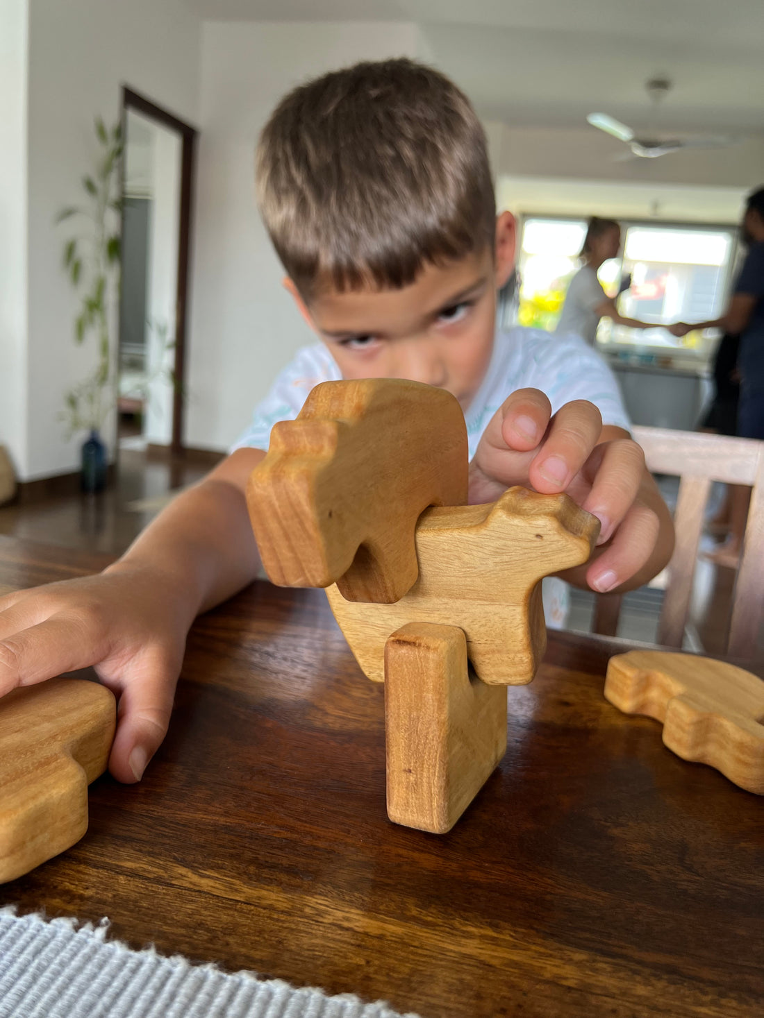 Why Wooden Toys Are Ideal For Special Needs Children