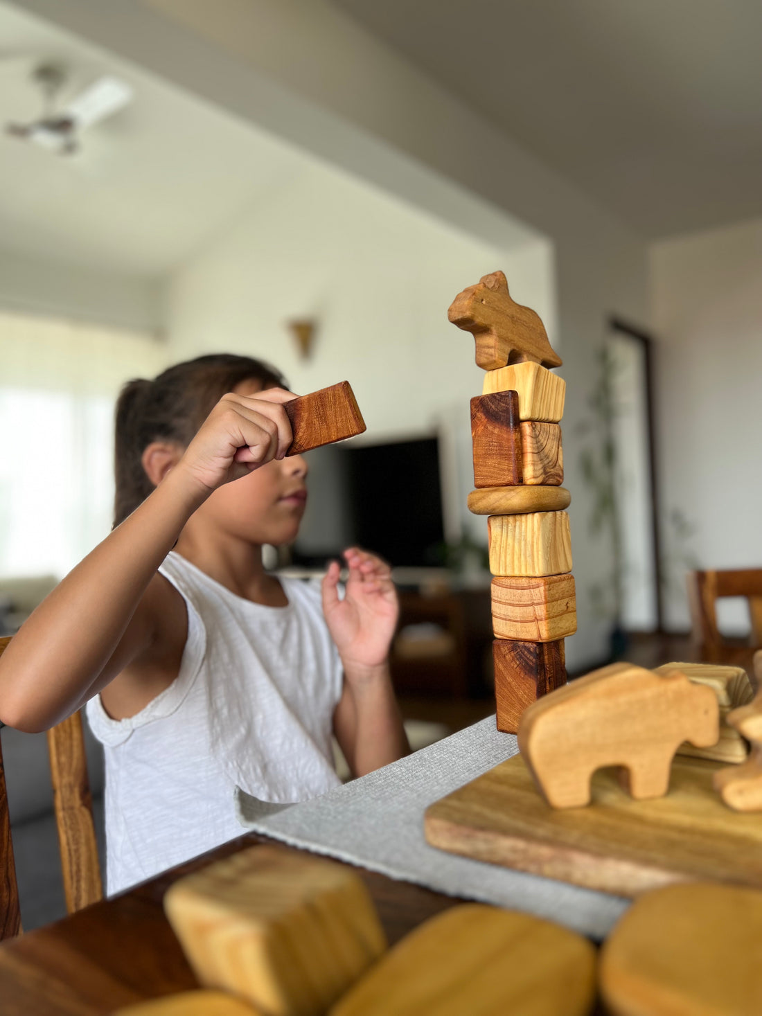 How to Troubleshoot Common Issues with Wooden Toys