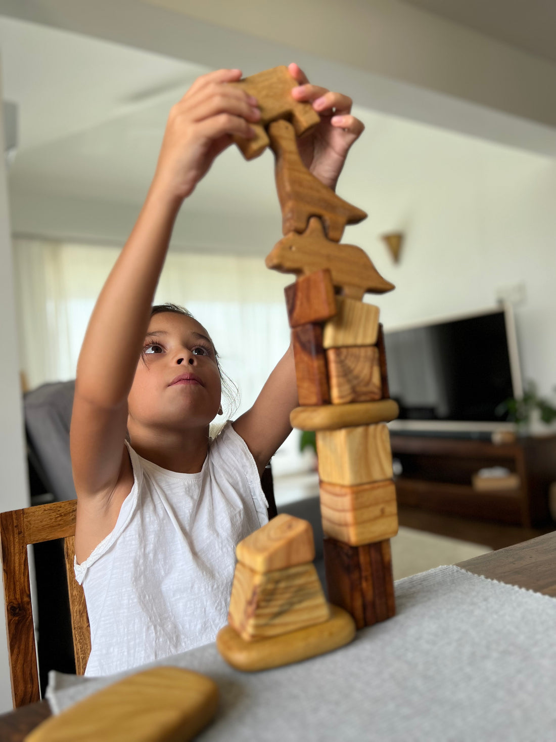 How to Create a Montessori-Friendly Environment at Home Using Wooden Toys