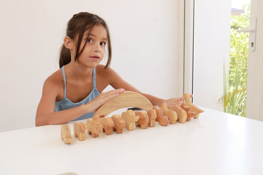 Building Foundations: The Educational Benefits of Wooden Stacker Toys