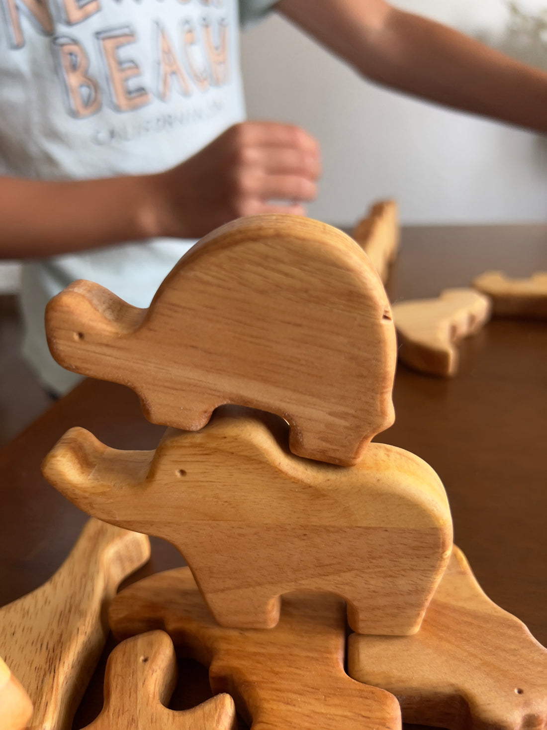 Wooden Puzzles: Perfect for All Ages