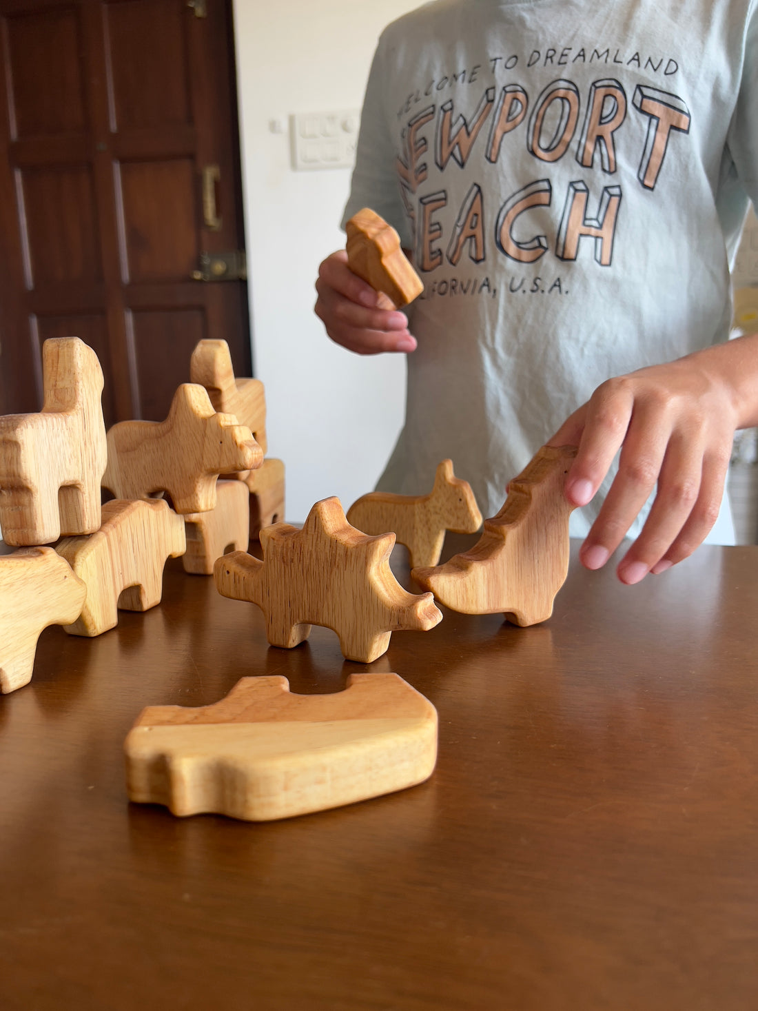 Wooden Toy Safety: What You Need to Know