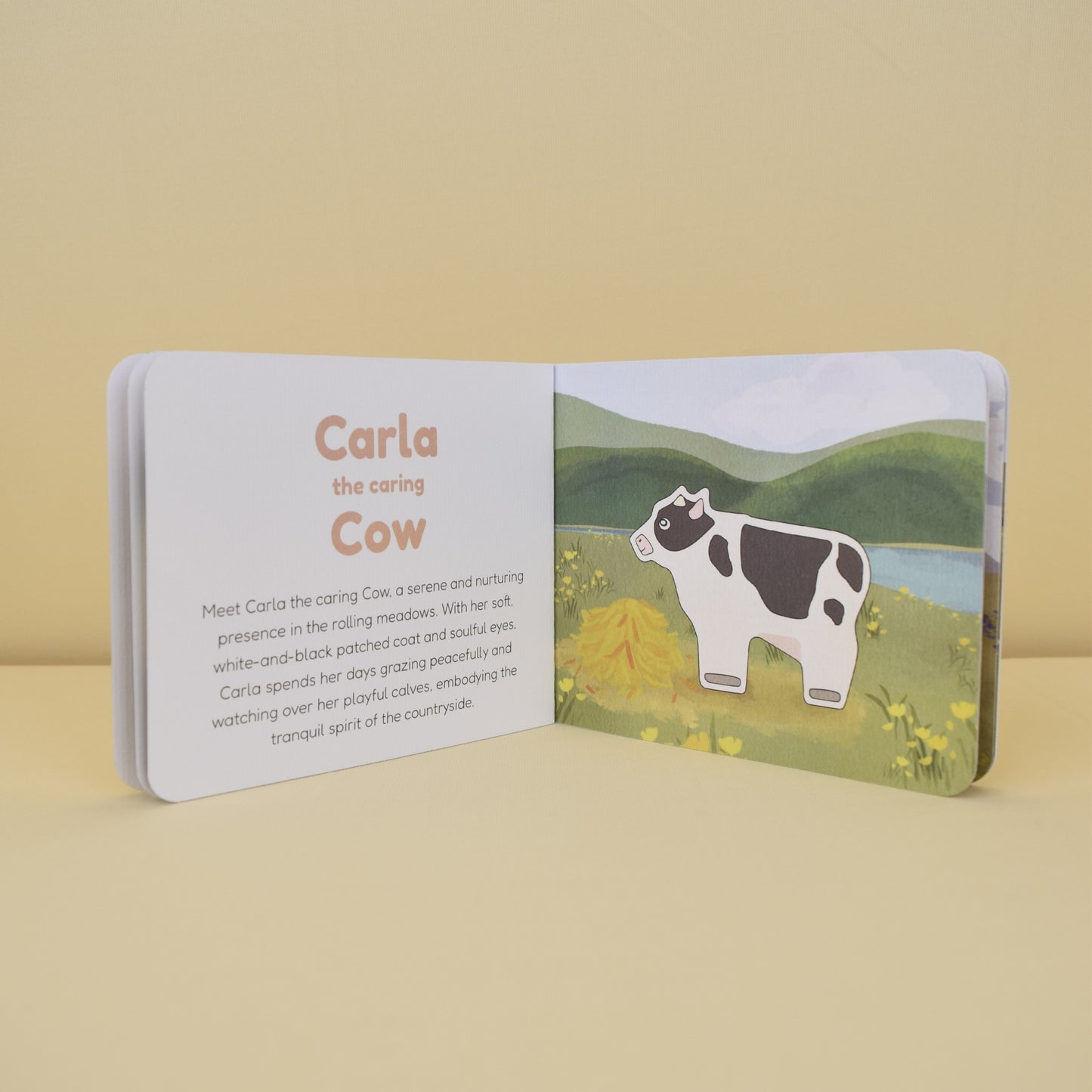 Farm Animals Booklet