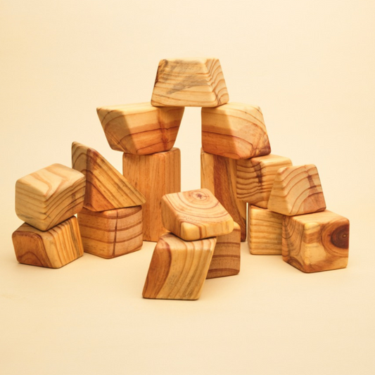 Block Build: Wooden Building Blocks (Set of 20)