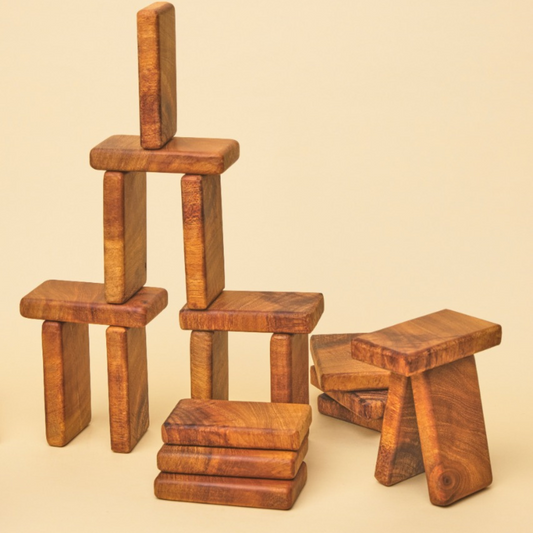 Domino Build: Wooden Building Blocks (Set of 24)